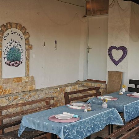 Casa Lavanda - Karin Gornji Gornji Karin Εξωτερικό φωτογραφία