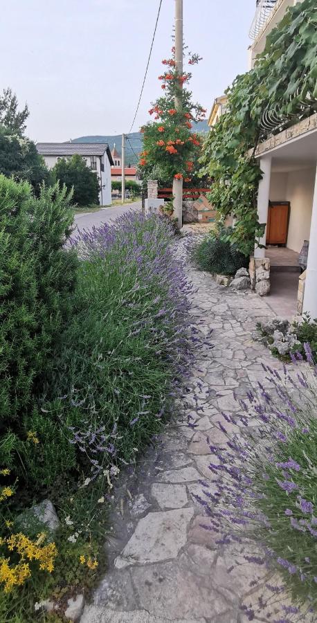 Casa Lavanda - Karin Gornji Gornji Karin Εξωτερικό φωτογραφία